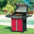 Gas BBQ2