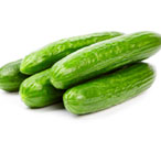 British cucumber