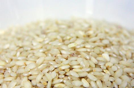 Dairy/gluten free healthy rice pudding