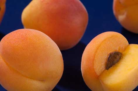 Apricot hero