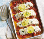 Baked fish with tomato and herbs 