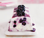 Blueberry ripple yogurt ice cream