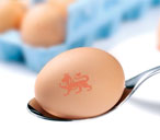 Egg THUMB