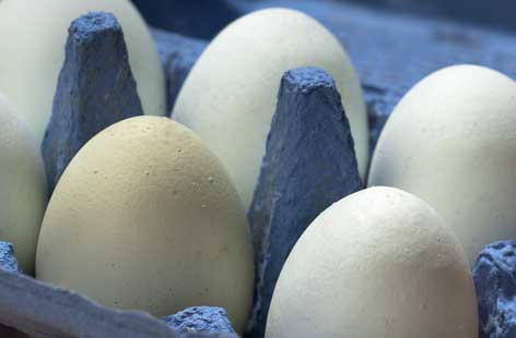 Egg hero