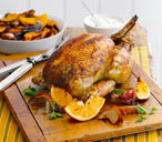 Indian Spiced roast chicken  THUMB