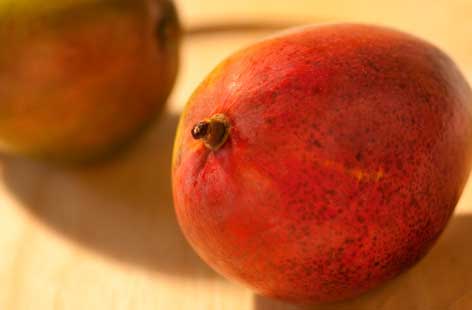 Mango hero