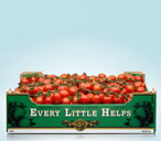 Quality tomatoes thumb