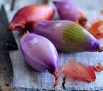 Shallots