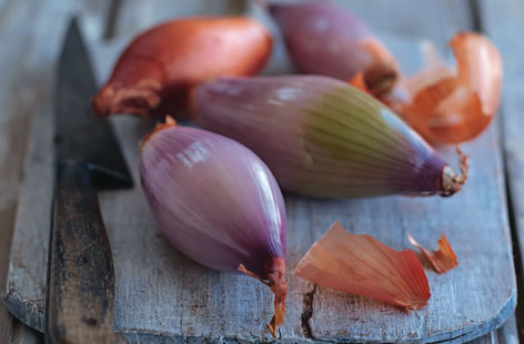 Shallots