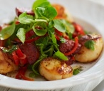 TH SCALLOPSCHORIZOSALAD