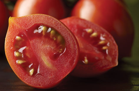 Tomatoes HERO