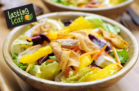 Turkey salad recipe logo (h)