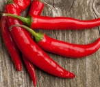 chilli