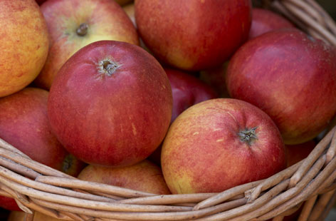 cox apples hero