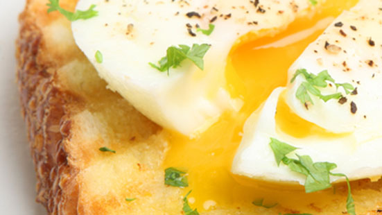 egg