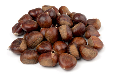 gloss chestnuts hero