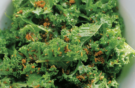 kale salad H