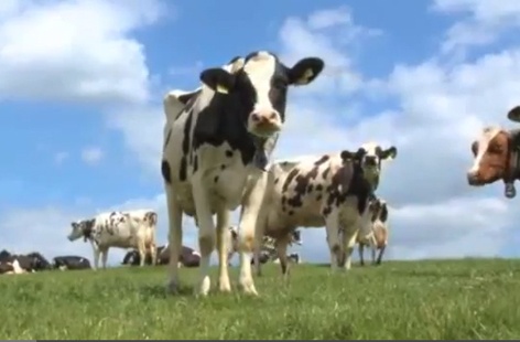 The journey of your milk