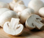 mushrooms
