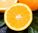 oranges