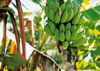 News from the Real Food team on our products and sourcing
