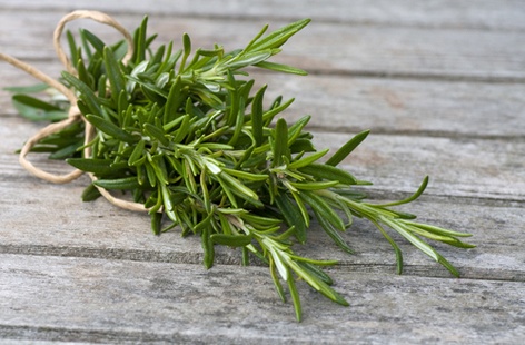 rosemary HERO