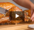 turkey VIDEO THUMB
