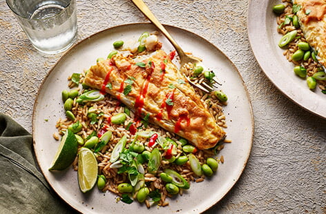 Japanese cuisine and recipes