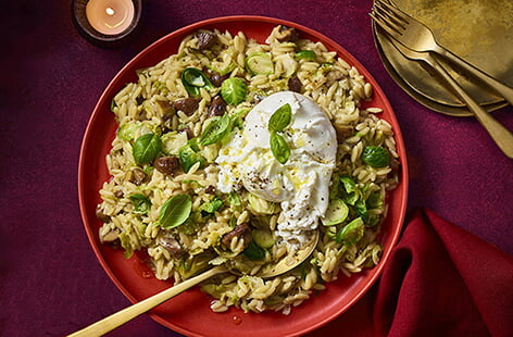 Orzo recipes