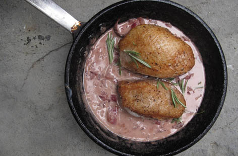Pheasant breast in red wine sauce  Tesco Real Food