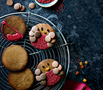 Robin gingerbread biscuits | Tesco Real Food